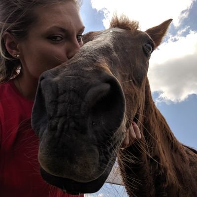 heyhey112345's profile picture. MOBAP graduate. Elementary education, EC and ECSE.  Obsessed with horses, sunsets, and stars. I also wanna travel the world one day✌️