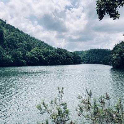 rdvank's profile picture. 