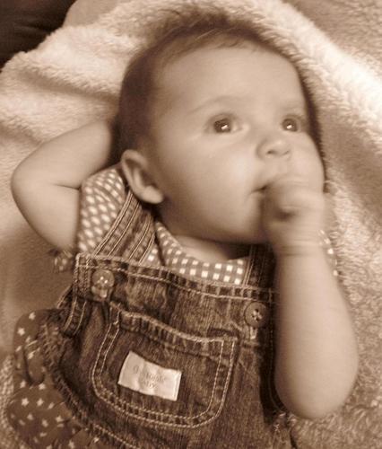 DenverBabyPlans's profile picture. 