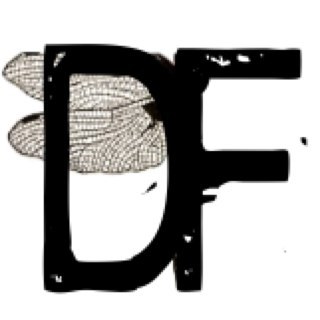 dflylounge's profile picture. DF is located at 401 E. Washington Ave.  Downtown, Madison, WI