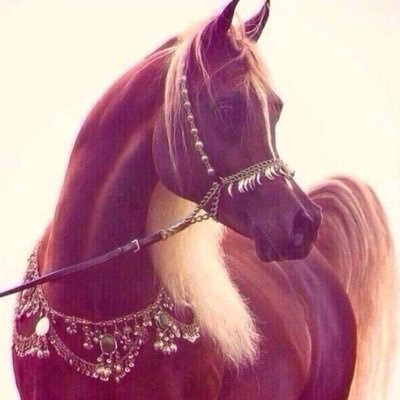 7hrBzexraT6OBpB Profile Picture