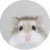 Hamster (@cryptoh4mster) Twitter profile photo Hamster (@cryptoh4mster) Twitter profile photo