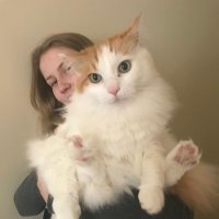 Ellie Hannan (@ellie_hannan22) 's Twitter Profile