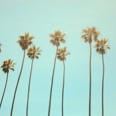 kks2413's profile picture. 