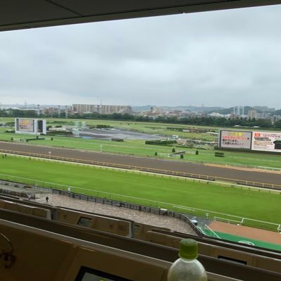 vioviotks's profile picture. 一口馬主始めたきっかけにツイッター始めてみました。趣味の競馬やゲームなど中心に→ほぼ馬中心に 2019年ターファイトクラブ キャロットクラブ入会 2020年シルク入会