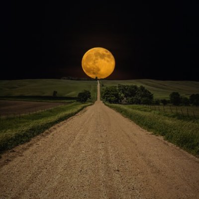 Wellyto32606535's profile picture. Amante do universo...