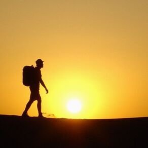 real_michaelcho's profile picture. trader.reader.writer