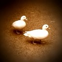 Hannah Warne - @hannahwarne - Twitter