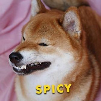 The Spiciest Gun Of The Eastさんのプロフィール画像