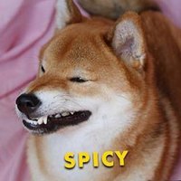 The Spiciest Gun Of The East (@samthewindwaker) 's Twitter Profile