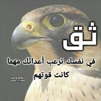 SCWsC9n8hEHW1st's profile picture. 