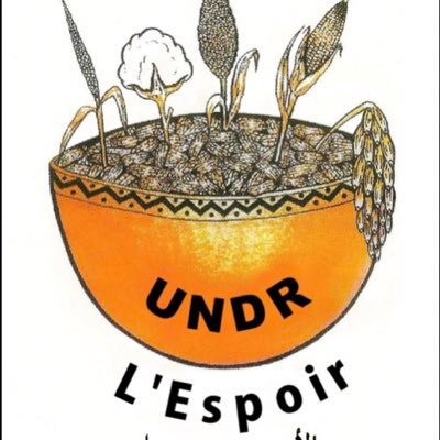 UNDR_Tchad's profile picture. Union Nationale pour le Développement et le Renouveau | Plus grand parti de l’opposition au Tchad | @saleh_kebzabo Président National |International Socialiste