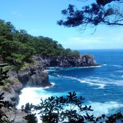日本が日本を愛する人にとって暮らしやすい国であって欲しい。先人が築いた美しい国を残して行きたい。中韓のプロパガンダに屈しない。