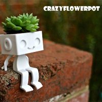 Crazyflowerpot(@crazyflowerpot) 's Twitter Profileg