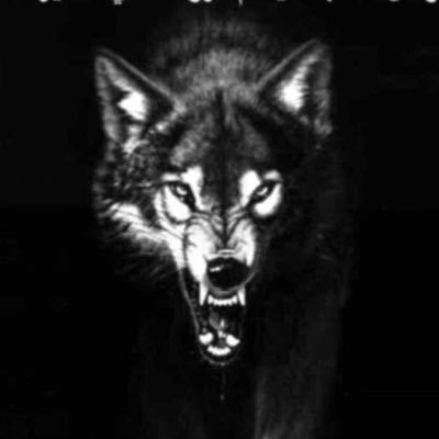 samialhoraish's profile picture. SAMI