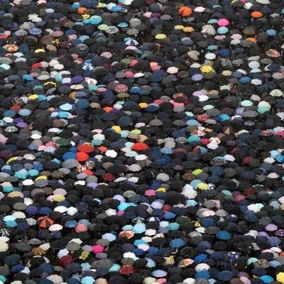 GemmaParpuig's profile picture. A l’atzar agraeixo tres dons: haver nascut dona,
de classe baixa i nació oprimida.

I el tèrbol atzur de ser tres voltes rebel