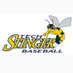 Flo-Dar Tech Stingers Baseball (@FDTCbaseball) Twitter profile photo