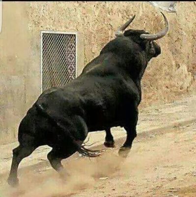 pepe_alex1's profile picture. Deportista cheff y comerciante! 📈