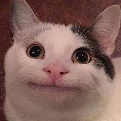 Yuantall's profile picture. 鹹魚終究是個鹹魚