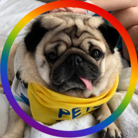 Alfie (@therapypugalfie) 's Twitter Profile Photo Alfie (@therapypugalfie) 's Twitter Profile Photo