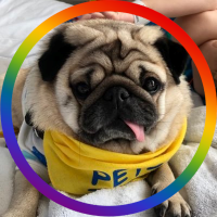 Alfie(@therapypugalfie) 's Twitter Profile Photo