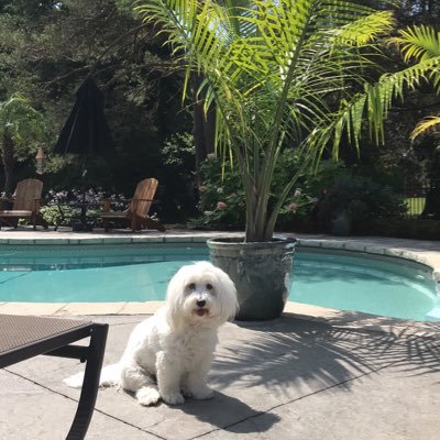 claireblewett15's profile picture. 