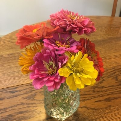 DianaLucy's profile picture. 