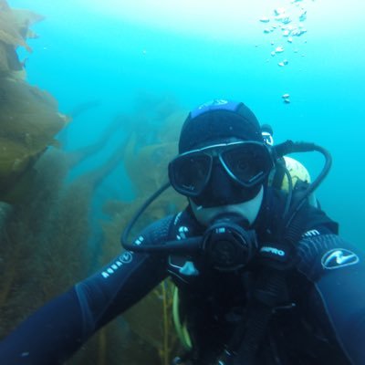 LiebergesellMax's profile picture. Marine Ecology Nerd 🐠🌊  German Roots 🇩🇪