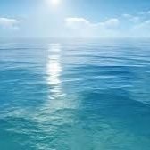 poiuytrewqlkj56's profile picture. سلام مربع