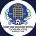 Chipping Sodbury Town Ladies (@TsodsLadiesfc) Twitter profile photo