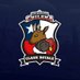 Selección Chilena de Clash Royale (@selchilecr) Twitter profile photo Selección Chilena de Clash Royale (@selchilecr) Twitter profile photo