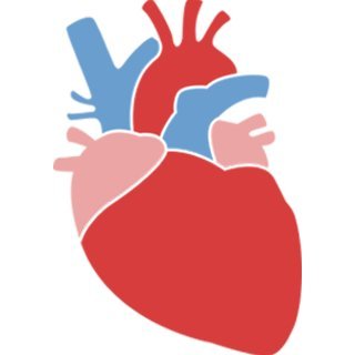 #FerrariLab @ #ColumbiaUniversity Departments of #Surgery and #BiomedicalEngineering - #HeartValve #AorticDiseases #BioprostheticHeartValve #CTSurgery
