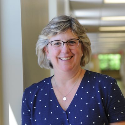 Director of Enrollment, Saint Viator High School