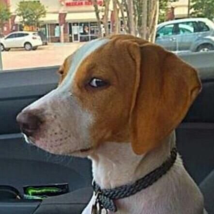 rjmrocha's profile picture. 