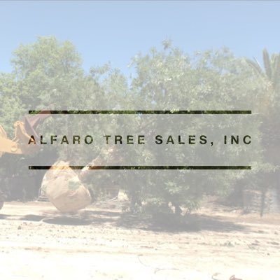 alfarotrees's profile picture. Outdoor Showroom:  10835 Pearsall Rd; 78002 • Hours:  Mon-Sat 8am - 5pm • Closed Sundays 🌳Large Tree Sales 🌳Tree Planting  🌳Tree Relocating