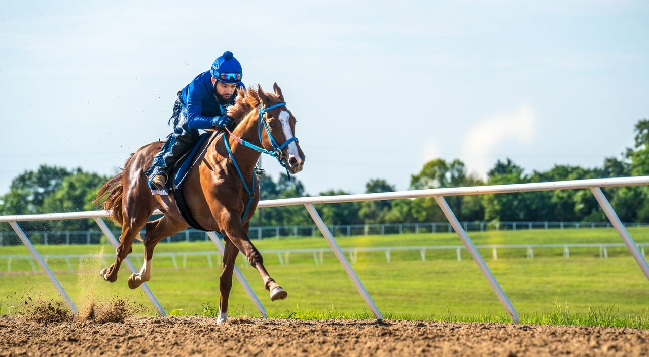 A Premier Thoroughbred racehorse training and equine therapy facility.