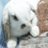 ユキうさぎ