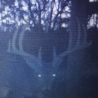 James Compton - @deerhuntingfool Twitter Profile Photo