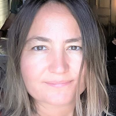 Prof.Dr. at Dept. of Environmental Eng. Eskişehir Technical University,
Studying indoor and outdoor air pollution, passive sampling, microplastics