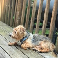 Adam Pollio (@marc0pollio) 's Twitter Profile Photo