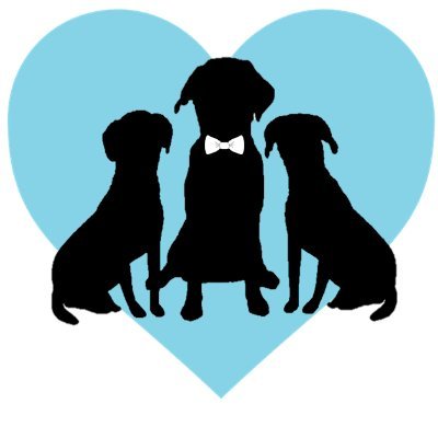 The First Wedding Pet Care Company in the US 💙 
Every FairyTail Wedding Helps A Shelter Animal Find A Home
📍FL/GA 
✈ Available Nationwide 
#ModernDayPet