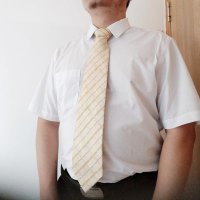 树先生 (@abner1131241113) 's Twitter Profile