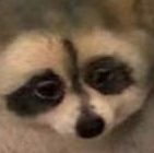 mrkagstn_26's profile picture. 