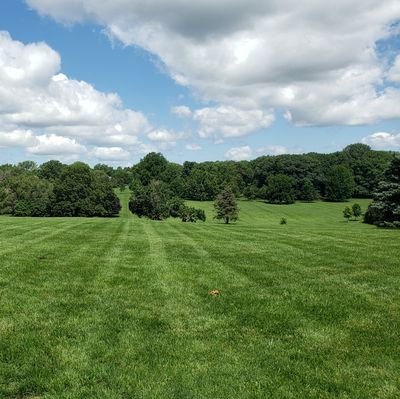 caormoaz's profile picture. 