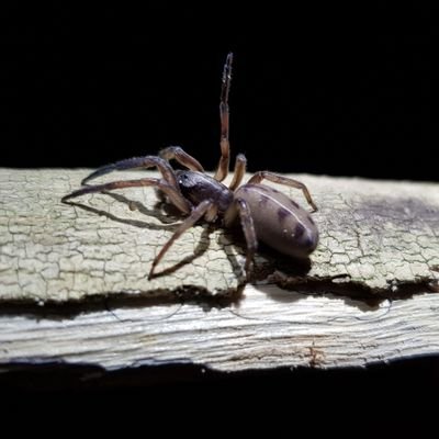 pmichalik76's profile picture. 