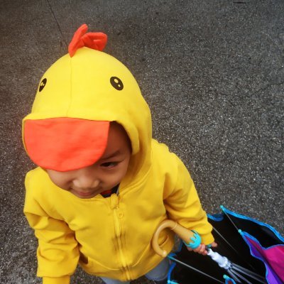 abaiwoleca's profile picture. 人不可能在飞翔中学会飞翔