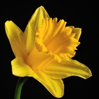 HandpickedinCor's profile picture. A selection of Cornwall Luxury Hotels, Accommodation, Luxury Cottages, Restaurants , Exclusive Shops & Days Out. Also on http://t.co/RudPsBz9