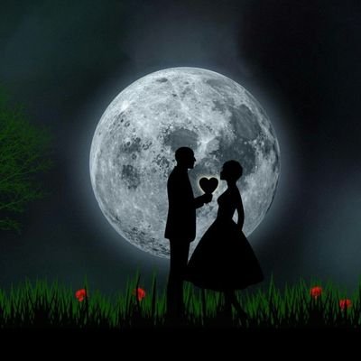 Nisha33813291's profile picture. Studying