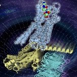 Hideaki Kato Lab (RCAST, UTokyo) (@hekatolab) 's Twitter Profile Photo Hideaki Kato Lab (RCAST, UTokyo) (@hekatolab) 's Twitter Profile Photo