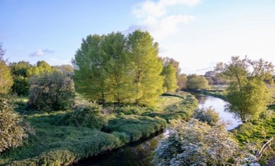 The Save Wincheap Water Meadows Campaign aims to prevent an Area of High Landscape Value on Canterbury's River Stour from becoming a carpark.